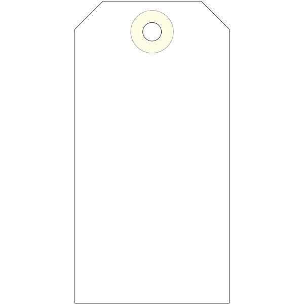 10 étiquettes américaines avec ficelle 100x51mm Apli