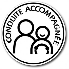 Disque conduite accompagnée pour voiture électrostatique