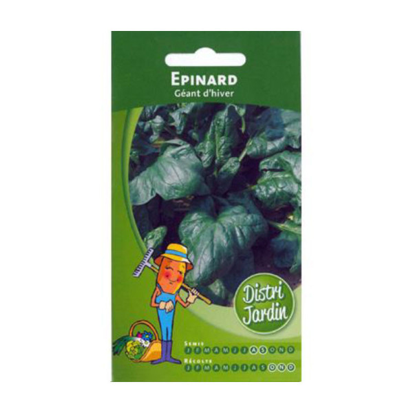 Sachet de graines d'épinard géant d'hiver