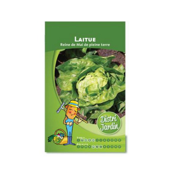 Sachet de graines de laitue reine de mai