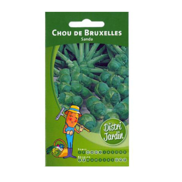 Sachet de graines de chou de Bruxelles sanda