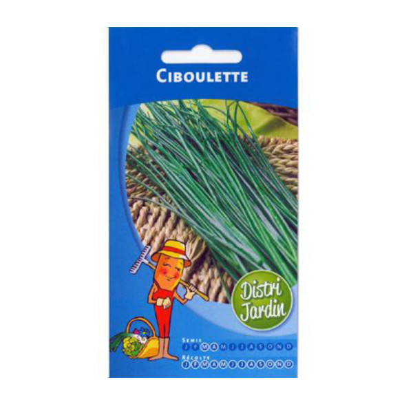 Sachet de graines de ciboulette herbes aromatiques