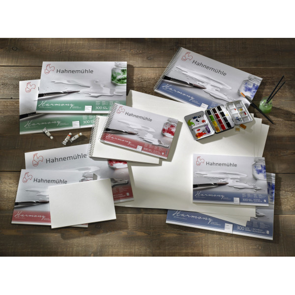 Bloc aquarelle Harmony 300g/m2 12feuilles grain fin A3 - Hahnemühle
