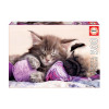 Puzzle Compagnons de rêves 500 pièces - Educa | Artmania
