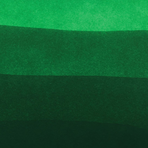Encre pour calligraphie - Vert Amazone - Les encres essentielles - Herbin - Flacon 50ml