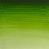 Peinture aquarelle professionnelle - Extra fine - Vert de vessie permanent - 503 - Winsor et Newton - 5ml