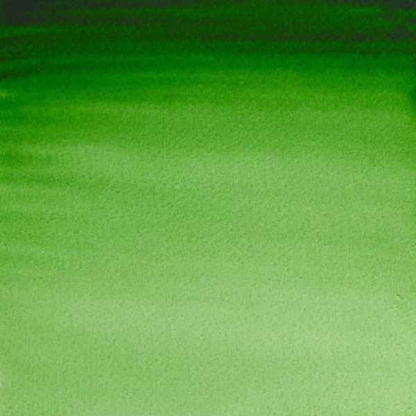 Peinture aquarelle - Vert de Hooker - 311 - Extra-fine - Winsor et Newton - 14ml