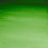 Peinture aquarelle - Vert de Hooker - 311 - Extra-fine - Winsor et Newton - 14ml