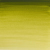 Peinture aquarelle - Vert olive - 447 - Extra-fine - Winsor et Newton - 14ml