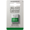 photo-Aquarelle Professionnelle Extra-Fine - 1/2 Godet - Vert De Hooker - 311 - Winsor Et Newton
