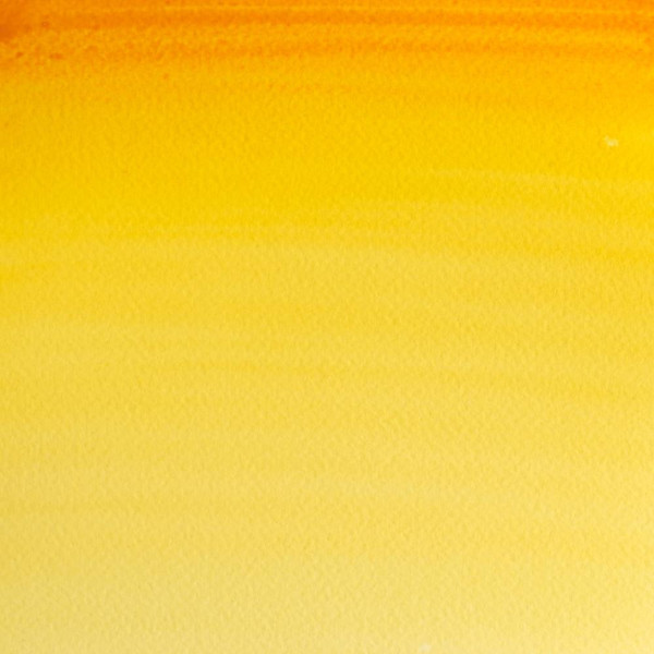 Aquarelle Professionnelle Extra-Fine - 1/2 Godet - Gomme Gutte - 267 - Winsor Et Newton