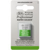 photo-Aquarelle Professionnelle Extra-Fine - 1/2 Godet - Vert De Vessie Permanent - 503 - Winsor Et Newton