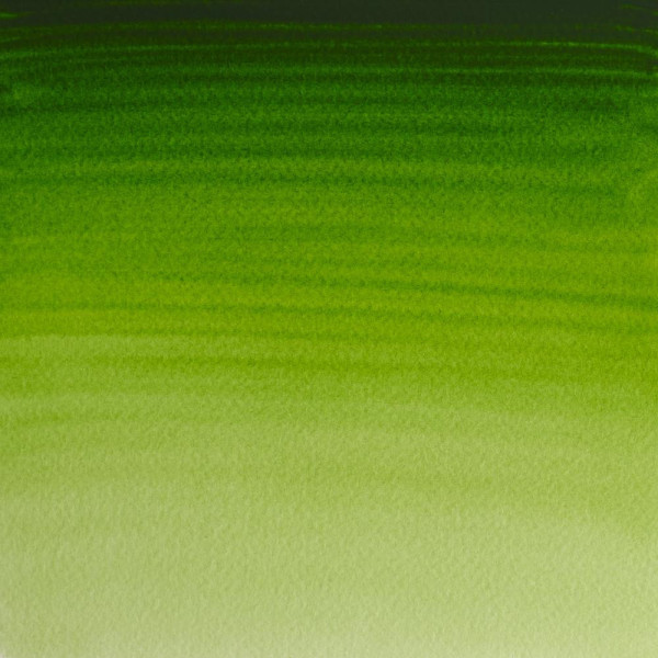 Aquarelle Professionnelle Extra-Fine - 1/2 Godet - Vert De Vessie Permanent - 503 - Winsor Et Newton