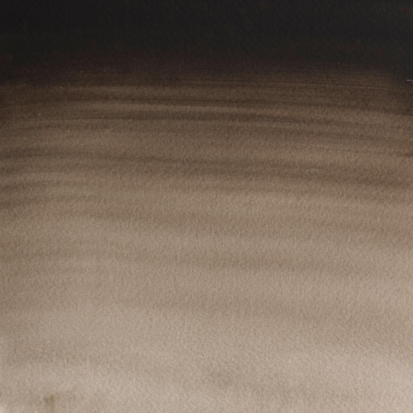 Aquarelle Professionnelle Extra-Fine - 1/2 Godet - Sépia - 609 - Winsor Et Newton