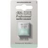 photo-Aquarelle Professionnelle Extra-Fine - 1/2 Godet - Terre Verte - 185 - Winsor Et Newton
