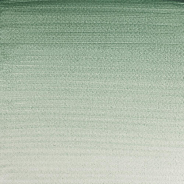 Aquarelle Professionnelle Extra-Fine - 1/2 Godet - Terre Verte - 185 - Winsor Et Newton
