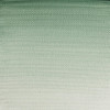 Aquarelle Professionnelle Extra-Fine - 1/2 Godet - Terre Verte - 185 - Winsor Et Newton