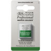 photo-Aquarelle Professionnelle Extra-Fine - 1/2 Godet - Oxyde De Chrome - 459 - Winsor Et Newton