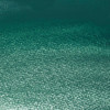 Aquarelle Professionnelle Extra-Fine - 1/2 Godet - Vert Cobalt Foncé - 185 - Winsor Et Newton