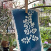 Kit cyanotype - Réaliser des photos monochromes - Feuilles + produits - Clairefontaine