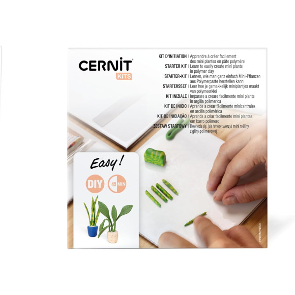 photo - Coffret - Pâte polymère - Création mini plantes - 4 pains de pâte 25g + outils + notice - Cernit