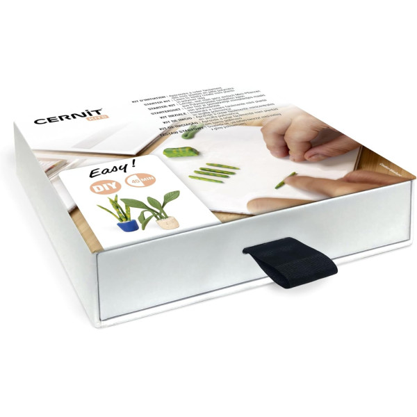 Coffret - Pâte polymère - Création mini plantes - 4 pains de pâte 25g + outils + notice - Cernit