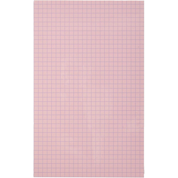 25 fiches bristol et chemise de rangement - 125x200mm - Petits carreaux - Couleur pastel - Exacompta
