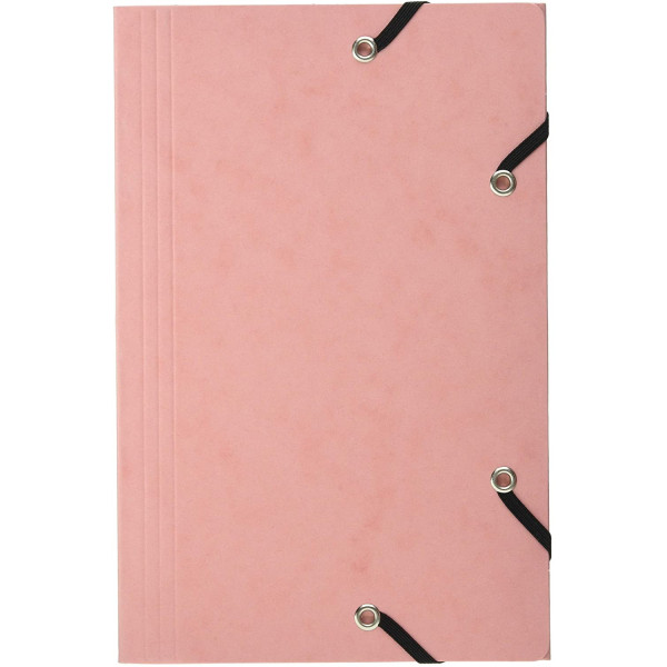 25 fiches bristol et chemise de rangement - 125x200mm - Petits carreaux - Couleur pastel - Exacompta