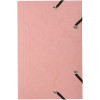 25 fiches bristol et chemise de rangement - 125x200mm - Petits carreaux - Couleur pastel - Exacompta