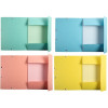 25 fiches bristol et chemise de rangement - 125x200mm - Petits carreaux - Couleur pastel - Exacompta