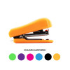 Agrafeuse de bureau - Agrafes n°10 - Assortiment couleur - Apli