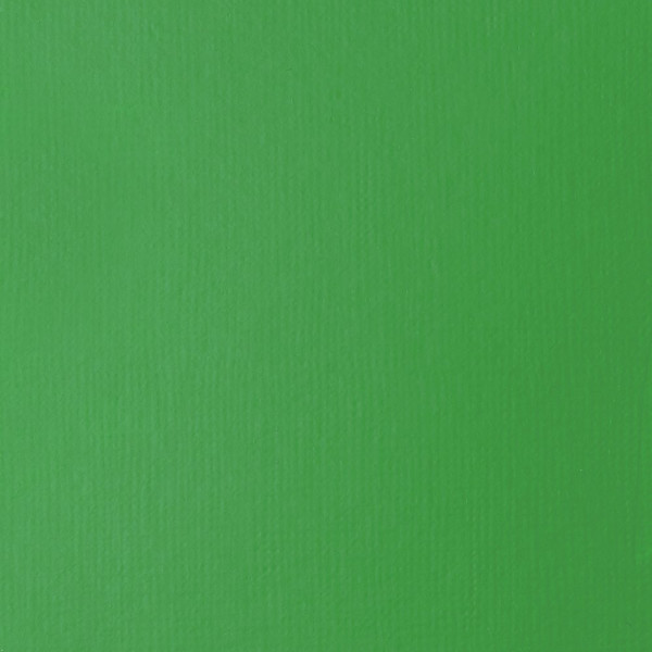 Peinture acrylique - Fluide - Vert clair permanent - 312 - Liquitex - Basics Acrylic fluid - 118ml