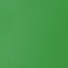 Peinture acrylique - Fluide - Vert clair permanent - 312 - Liquitex - Basics Acrylic fluid - 118ml