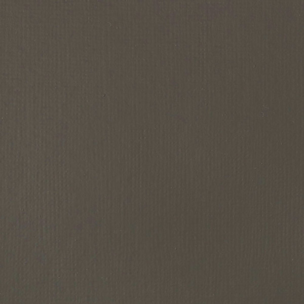 Peinture acrylique - Fluide - Terre d'ombre naturelle - 331 - Liquitex - Basics Acrylic fluid - 118ml