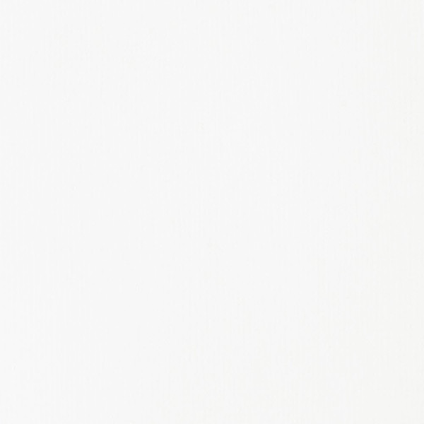 Peinture acrylique - Fluide - Blanc de Titane - 432 - Liquitex - Basics Acrylic fluid - 118ml