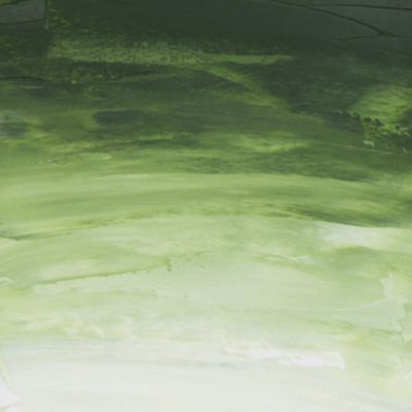 Peinture à l'huile - Fine - Vert de Vessie - 819 - Sennelier - Rive gauche - Tube de 200ml