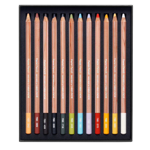 12 crayons de couleur - Pastels secs extra fins - Caran d'Ache - Pastel Pencil