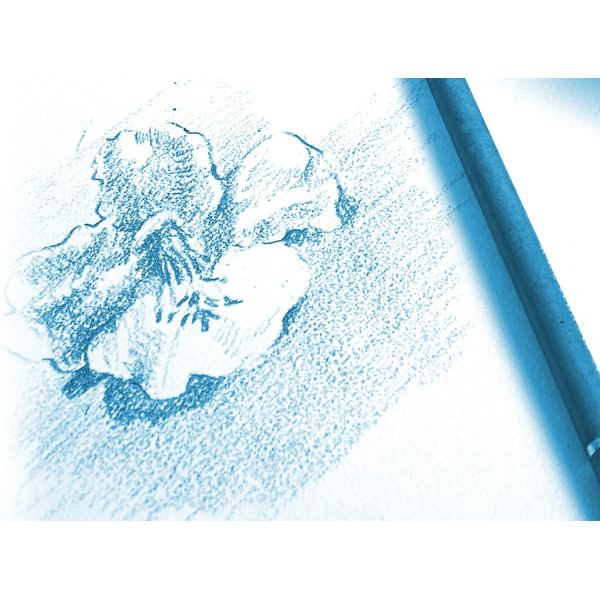 Papier dessin - 24x32cm - Blanc - 180g - 12 feuilles - Dessin - Peinture - Clairefontaine
