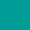Cahier - A4 (21x29,7cm) - Petits carreaux - 80 pages - couverture rigide turquoise - spirale - Notebook Miquelrius