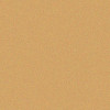 Stylo plume - Pointe moyenne - Bronze brillant - Ceod Shiny - Schneider