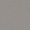 Stylo plume - Pointe moyenne - Argent brillant - Ceod Shiny - Schneider
