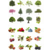 Gommettes - Images arbres et fruits - Ronde - 33mm - Enfant - Rouleau 360 unité - Apli Kids