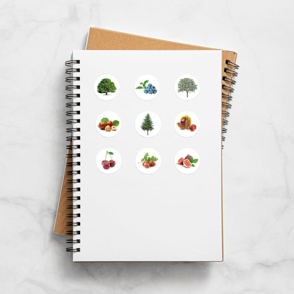 Gommettes - Images arbres et fruits - Ronde - 33mm - Enfant - Rouleau 360 unité - Apli Kids