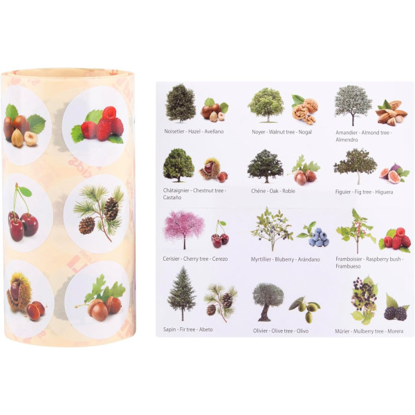 Gommettes - Images arbres et fruits - Ronde - 33mm - Enfant - Rouleau 360 unité - Apli Kids