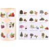 Gommettes - Images arbres et fruits - Ronde - 33mm - Enfant - Rouleau 360 unité - Apli Kids