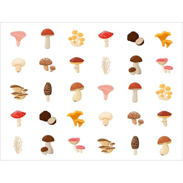 Gommettes - Images champignons - Ronde - 20mm - Enfant - Rouleau 900 unité - Apli Kids