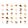 Gommettes - Images champignons - Ronde - 20mm - Enfant - Rouleau 900 unité - Apli Kids