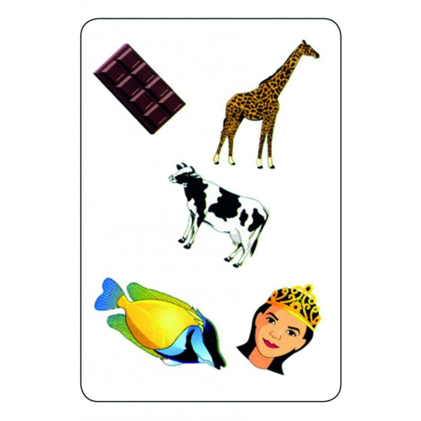 Jeu - Tam Tam Safari - CP niveau 2 - Jeu de lecture et de rapidité - Dès 6 ans