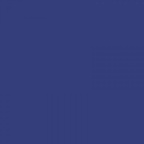 Lot de 10 stylos roller - Bleu - Pointe 0,5 mm - Xtra 805 - Schneider