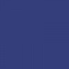 Lot de 10 stylos roller - Bleu - Pointe 0,5 mm - Xtra 805 - Schneider
